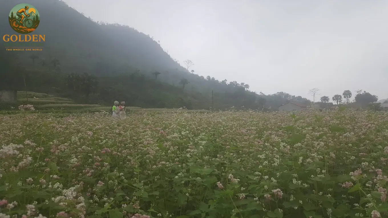 3-Day Thai Nguyen Backroad Cycling Tour: Ban Ten, Tea Hills & Nui Coc